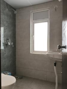 Common Bathroom Image of 750 Sq.ft 2 BHK Apartment / Flat for sale in Amrapali Dream Valley 2, Noida Extension Greater Noida for Rs. 6204500