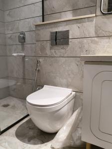 Common Bathroom Image of 1900 Sq.ft 3 BHK Apartment / Flat for sale in M3M Skycity, Sector 65 Gurgaon for Rs. 42000000