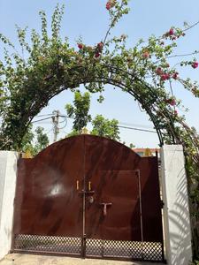 Image of 1020 Sq.ft 2 BHK Independent House for rent in Bodh Gaya, Gaya for Rs. 13500