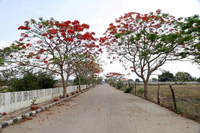 Image of 1800 Sq.ft 3 BHK Independent House for sale in Tilhari, Jabalpur for Rs. 4790000
