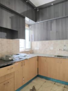 Kitchen Image of 920 Sq.ft 2.5 BHK Apartment / Flat for rent in Amrapali Dream Valley 2, Noida Extension Greater Noida for Rs. 18100