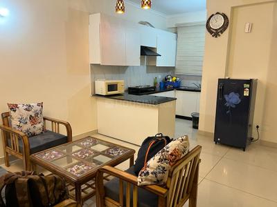 Hall Image of 1100 Sq.ft 2 BHK Apartment / Flat for rent in Ansal Palm Grove, Sector 115 Mohali for Rs. 20000
