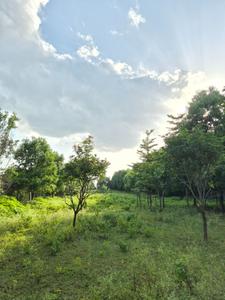 Image of 1050 Sq.ft Residential Plot / Land for sale in Mominpet, Vikarabad for Rs. 2500000