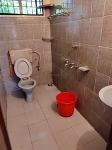 Bathroom Image of 1350 Sq.ft 3 BHK Builder Floor for rent in Kadavanthra Kochi for Rs. 22000