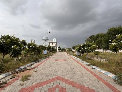 Block C Plot View 2