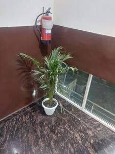 Balcony Image of Raj Residency in Sector 132, Noida