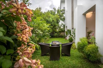 Image of 1500 Sq.ft 2 BHK Villa for rent in Marna Siolim, Goa for Rs. 120000