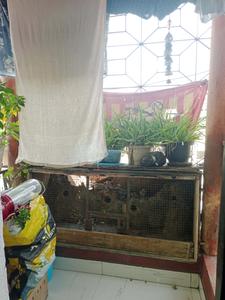 Balcony Image of 600 Sq.ft 2 BHK Apartment / Flat for sale in Kasba Kolkata for Rs. 2700000