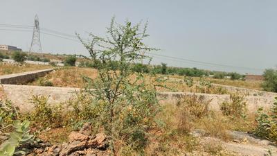 Image of 22590 Sq.ft Residential Plot / Land for sale in Jagatpura, Jaipur for Rs. 125500000