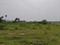 Singaperumal Koil Plot View 1