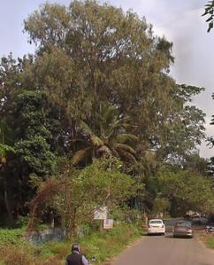 Image of 193000 Sq.ft Residential Plot / Land for sale in JP Nagar, Bengaluru for Rs. 2000000000