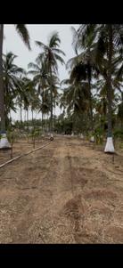 Image of 15681 Sq.ft Residential Plot / Land for sale in Kinathukadavu, Coimbatore for Rs. 9000000