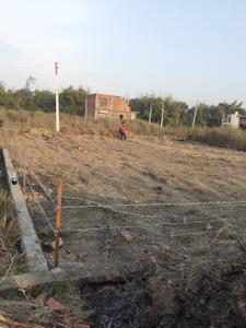 Jainagar Plot View 2