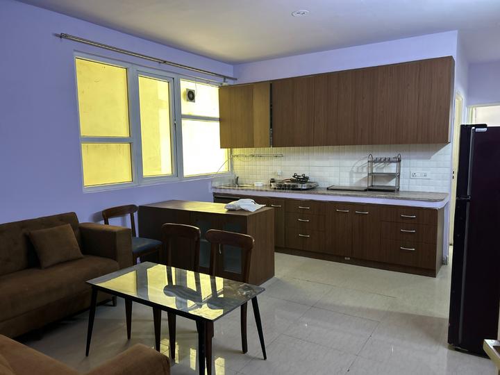 Tulip Lemon Main Image 1