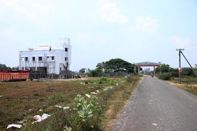 Plot View