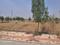 Bothali mohgaon Plot View 2