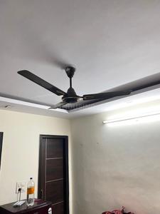 Hall Image of 500 Sq.ft 1 BHK Builder Floor for rent in Shastri Nagar New Delhi for Rs. 12000