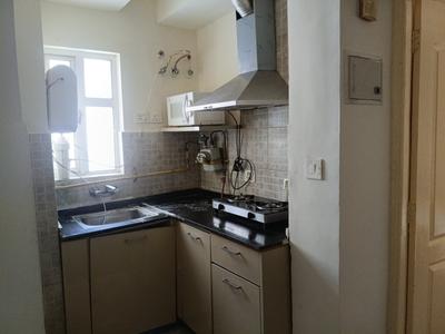 Kitchen Image of 495 Sq.ft 1 BHK Apartment / Flat for rent in Paras Tierea, Sector 137 Noida for Rs. 20500