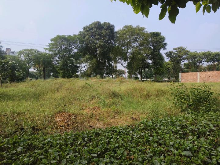 Hero The Ark Main Image 1