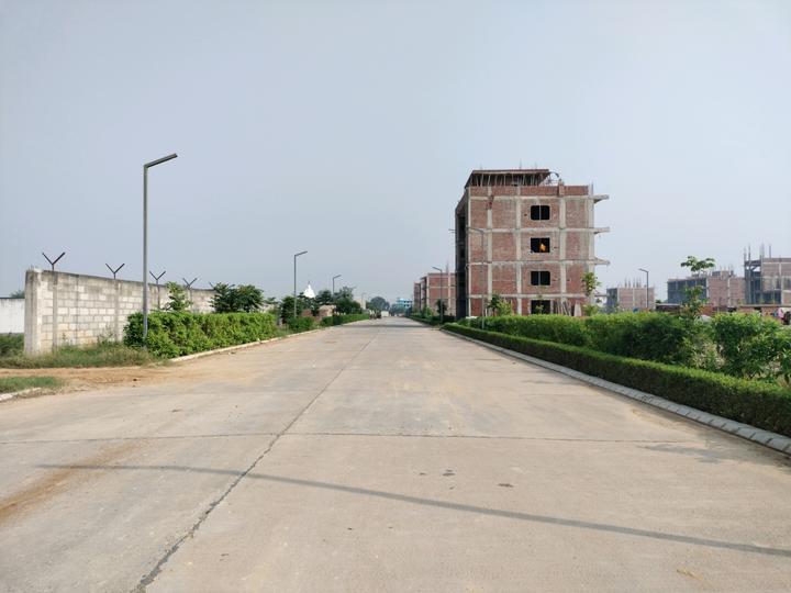 Amolik Aster Woods Main Image 1