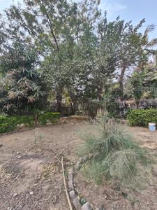 Image of 3960 Sq.ft Residential Plot / Land for sale in Thaltej, Ahmedabad for Rs. 44000000
