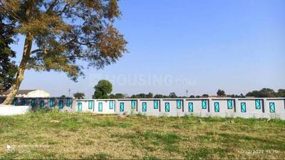 Image of 1000 Sq.ft Residential Plot / Land for sale in Panagar, Jabalpur for Rs. 600000