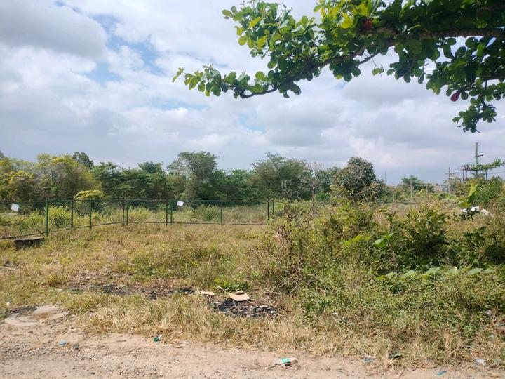 J p lakeview Main Image 1