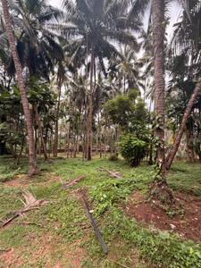 Image of 1000 Sq.ft 2 BHK Farm House for sale in Santhekatte, Udupi for Rs. 10000000