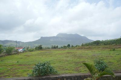 Kojoli Plot View 4