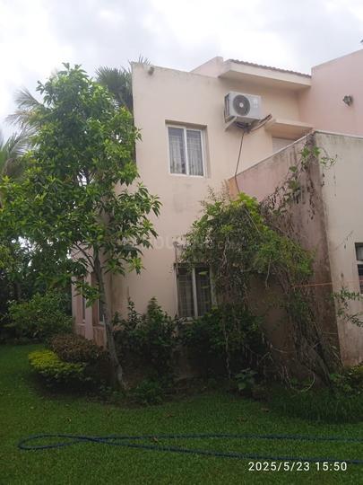 Roychak Main Image 1