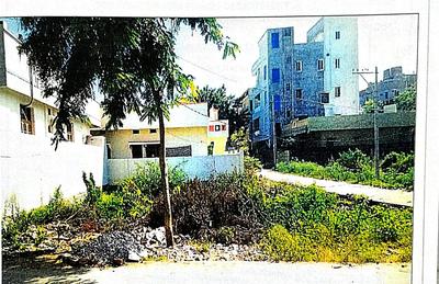 O City Plot View 2