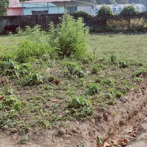 Image of 1485 Sq.ft Residential Plot / Land for sale in Prem Nagar, Dehradun for Rs. 3450000