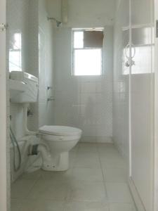Common Bathroom Image of 975 Sq.ft 3 BHK Apartment / Flat for rent in Solaris Joka, Bhasa Kolkata for Rs. 18000