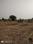 Harni Main Image 1