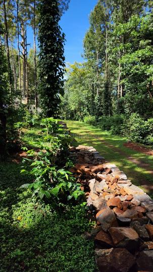 Wisteria farms Main Image 1