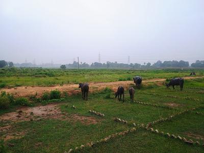 Image of 1200 Sq.ft Residential Plot / Land for sale in Bihta, Patna for Rs. 1635000