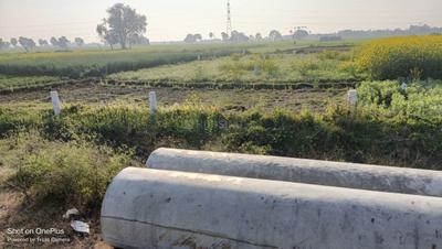 Image of 3600 Sq.ft Residential Plot / Land for sale in Punpun, Patna for Rs. 7500000