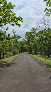Image of 5000 Sq.ft Residential Plot / Land for sale in Simrol, Indore for Rs. 1500000