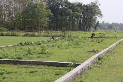 Image of 720 Sq.ft Residential Plot / Land for sale in Ranga Pani, Siliguri for Rs. 699000