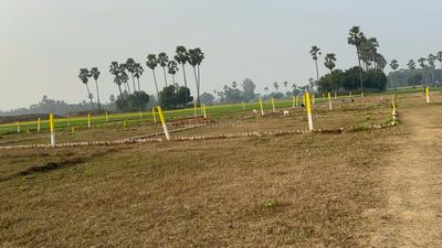 Image of 1200 Sq.ft Residential Plot / Land for sale in Patna University Campus, Patna for Rs. 1500000