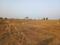Dewada Plot View 2