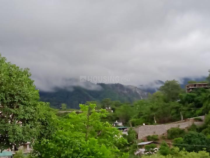Mist Main Image 1