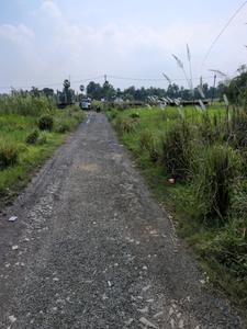 Wander Valley Internal Roads 2