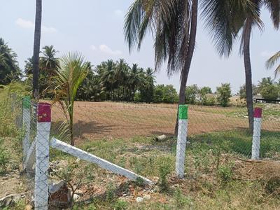 Agricultural Land