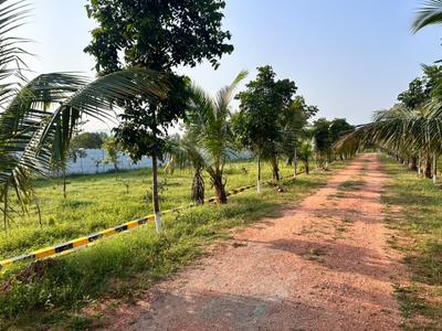Image of 111 Sq.ft Residential Plot / Land for sale in Kothavalasa, Visakhapatnam for Rs. 666000