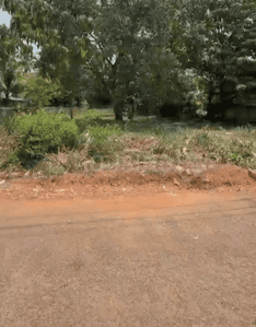 Image of 8712 Sq.ft Residential Plot / Land for sale in Madakkathara, Thrissur for Rs. 6200000