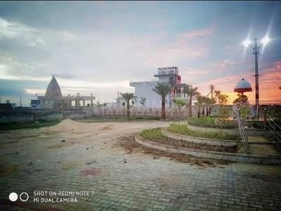 Plot View