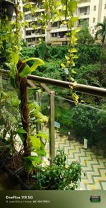 Balcony Image of 1000 Sq.ft 2 BHK Apartment / Flat for rent in K Raheja Vistas, Powai Mumbai for Rs. 90000