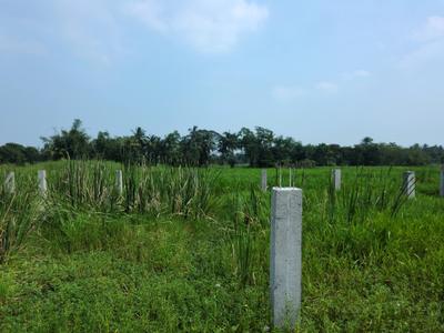Image of 720 Sq.ft Residential Plot / Land for sale in Nest Valley, Joka, Kolkata for Rs. 161616