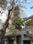 No.Rz-29 More Images 2
